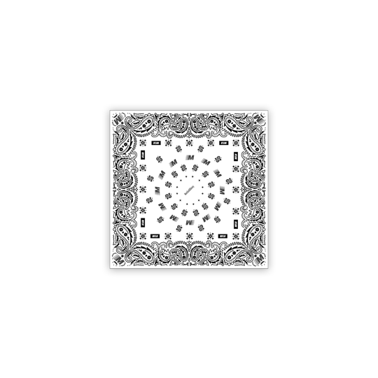 MFLH White Paisley Bandanna